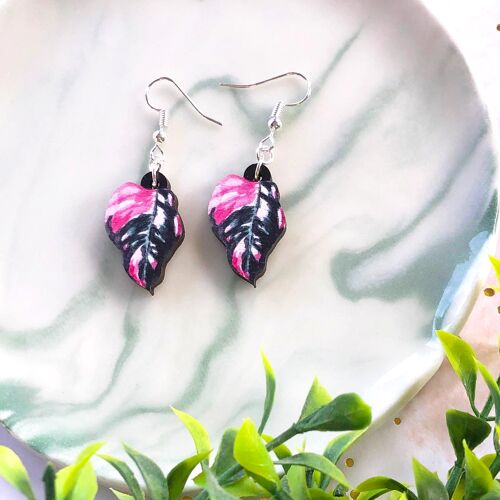 Philodendron Pink Princess Plant Leaf Hook Earrings