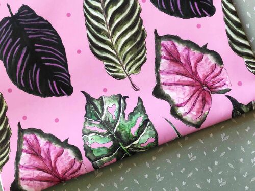 Pink Polka Dot Houseplant Wrapping Paper (5 Rolled Up Sheets)