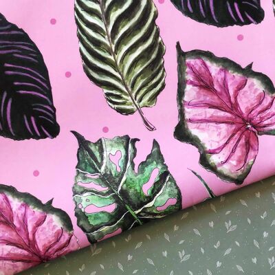 Pink Polka Dot Houseplant Wrapping Paper (5 Rolled Up Sheets)