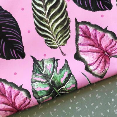 Geschenkpapier für Zimmerpflanzen mit rosa Punkten (5 aufgerollte Blätter)
