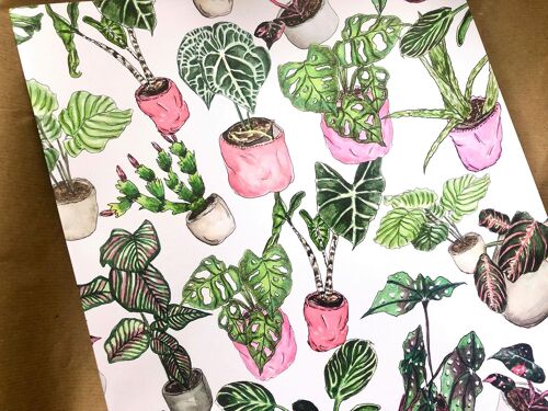 Potted Houseplant Wrapping Paper (5 Rolled Up Sheets)