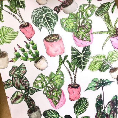 Potted Houseplant Wrapping Paper (5 Rolled Up Sheets)