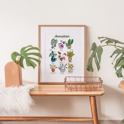 Die Zimmerpflanzenarten, illustrierter A4-Kunstdruck