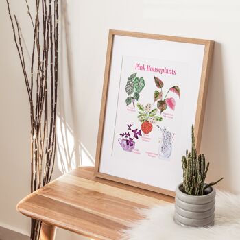 Les espèces de plantes d'intérieur roses illustrées A4 Art Print 2