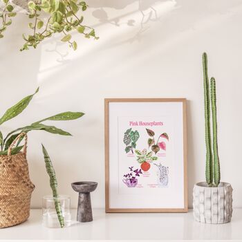 Les espèces de plantes d'intérieur roses illustrées A4 Art Print 5