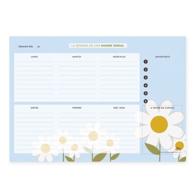 WEEKLY DESK PLANNER - A COOL MOTHER