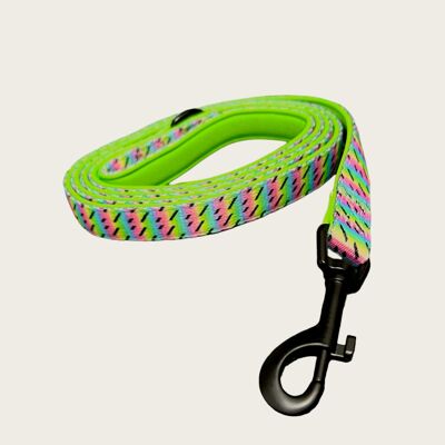 Lollipop dog leash