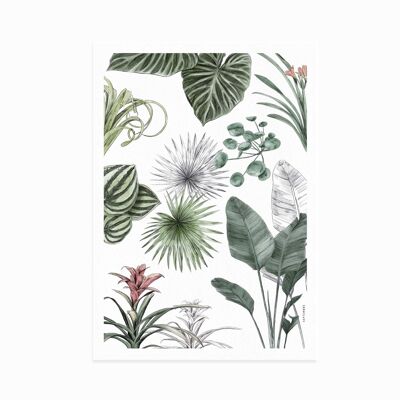 Affiche Les Plantes III