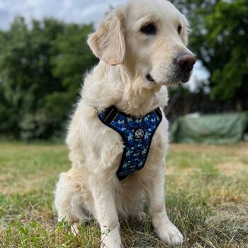 Harnais pour grand chien camouflage bleu 3