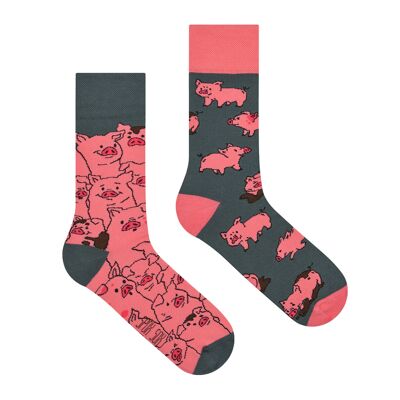 Lässige Socken - Schweine