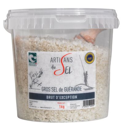 Bucket of Exceptional Raw Coarse Salt 1kg and Shovel