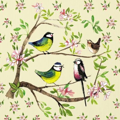 Garden birds small canvas