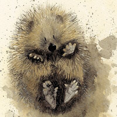 Prickles hedgehog small canvas