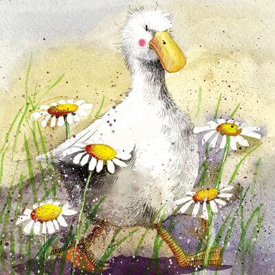 Duck in the daisies small canvas