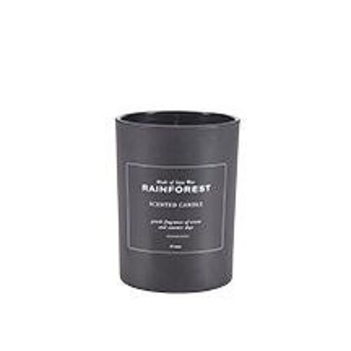 Scented candle Rain Forest 35 hours