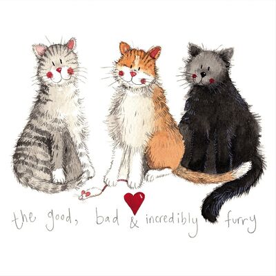 The good, the bad and the incredibuly furry medium canvas