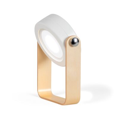 LH104 4 in 1 Foldable Lamp