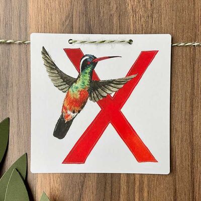 X -  Xantus Hummingbird Alphabet Tile
