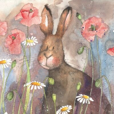 Hare and poppies blank card