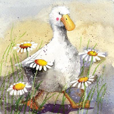Duck in the daisies blank card