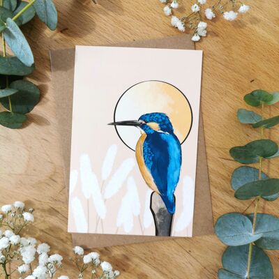 Card Kingfisher