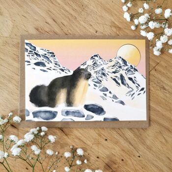 Carte Marmotte Montagne 1
