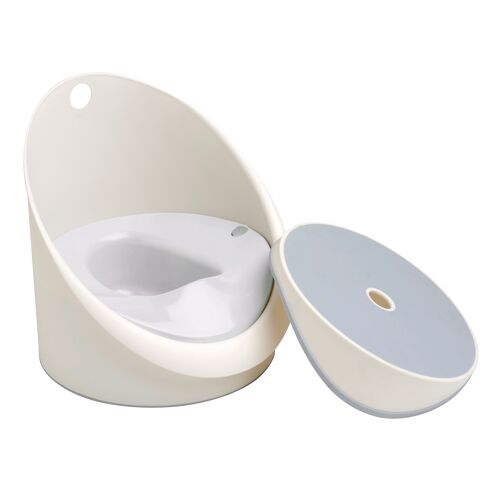 Potty and step stool
