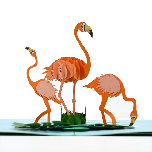 3D Pop Up carte Flamands Roses* vacances