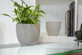 Pot de fleurs en ciment dans un design de texture calcaire | Style contemporain doublé | Pot à gobelet d'intérieur fait à la main | dans une couleur beige 2