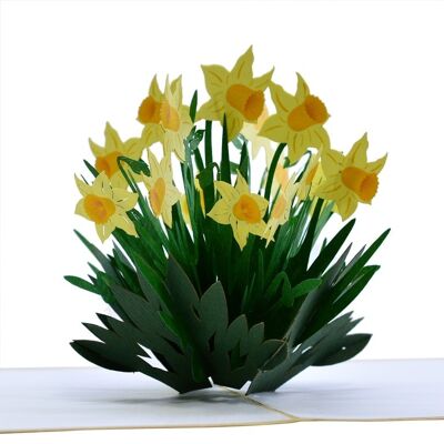 3D Pop Up Card Daffodils