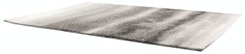 Tapis Vadim Cendre 160 x 230 - 4029068000 7