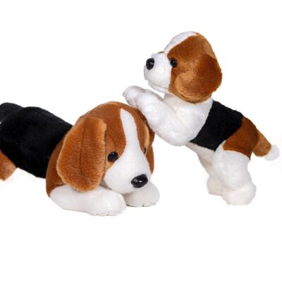 Plush beagle pm 20cm