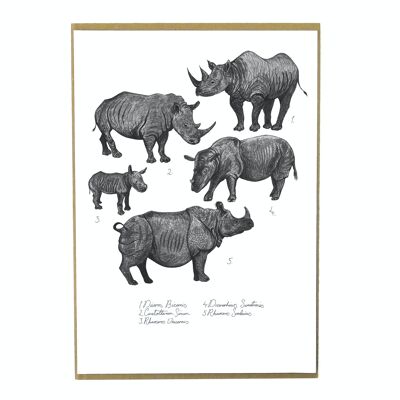 Crash of Rhinos Art Print