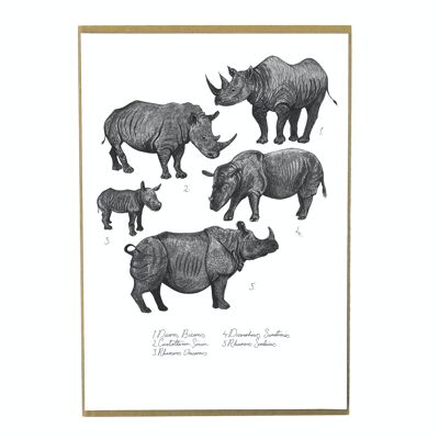 Schianto dei rinoceronti Stampa artistica