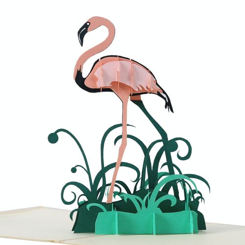 3D Pop Up carte Flamand Rose * vacances