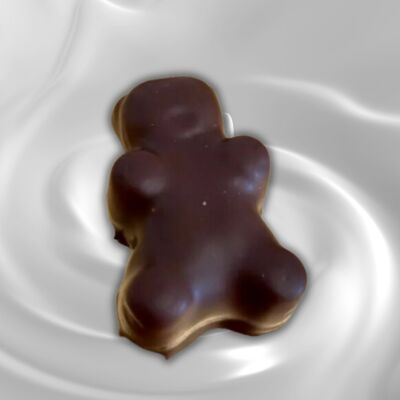Raymond der Marshmallow-Bär mit dunkler Schokolade überzogen - Natur - Schachtel mit 4 Bären