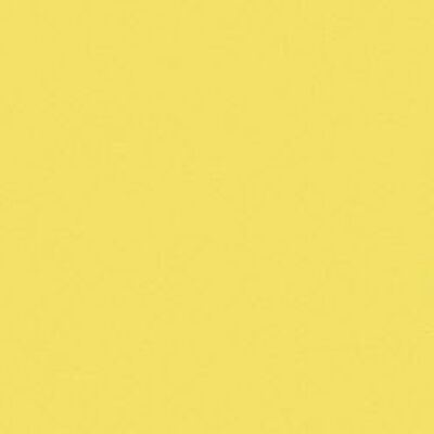 Carta da disegno tonica, 50 x 70 cm, giallo scuro