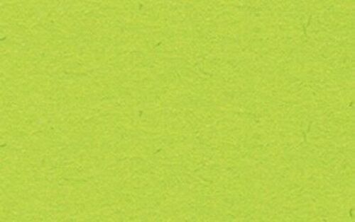 Tonzeichenpapier, 50 x 70 cm, hellgrün