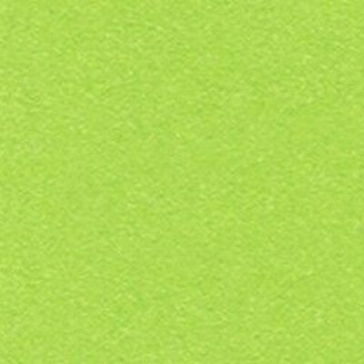 Carta da disegno tonica, 50 x 70 cm, verde tropicale