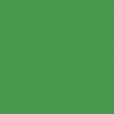 Carta da disegno tonica, 50 x 70 cm, verde pino