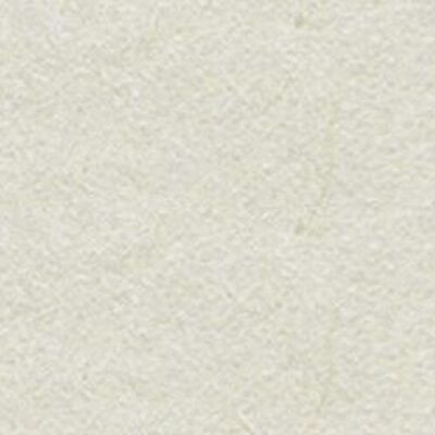 Carta da disegno tonica, 50 x 70 cm, grigio chiaro