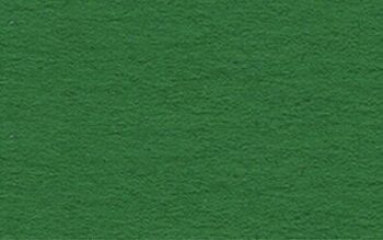 Carton, 50 x 70 cm, vert foncé 1