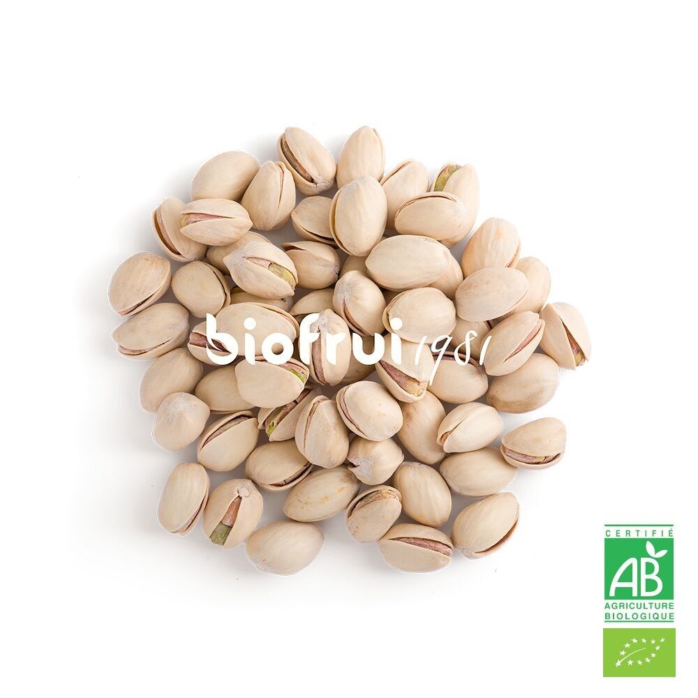 Organic Spanish pistachio in salted toasted shell | Bulk bag 5 kg