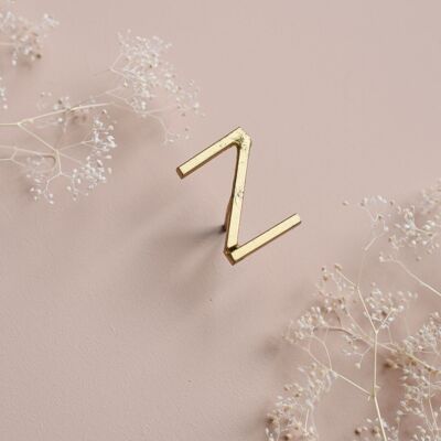 Letter Z nail - golden brass