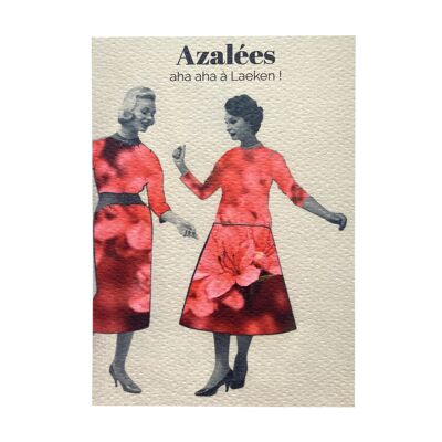 Map - Azaleas