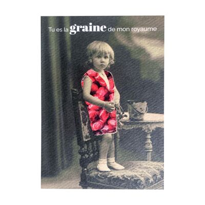 Carte - Graine