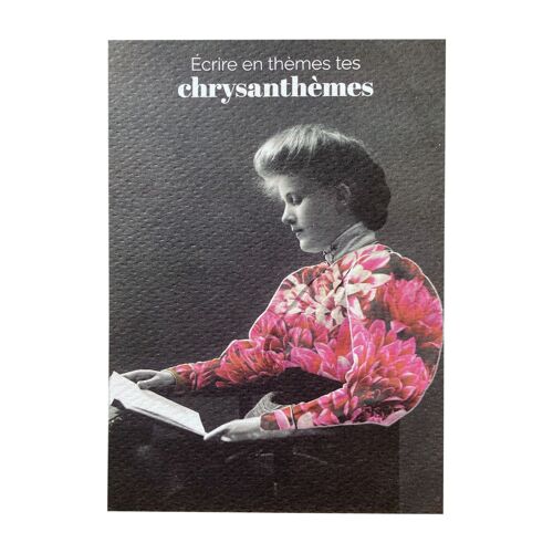 Carte - Chrysanthèmes