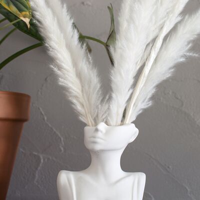 Busto Vaso Lola per fiori secchi in Jesmonite