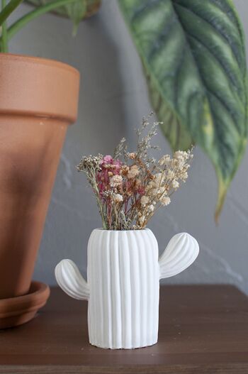 Vase Cactus en Jesmonite pour fleurs séchées 7