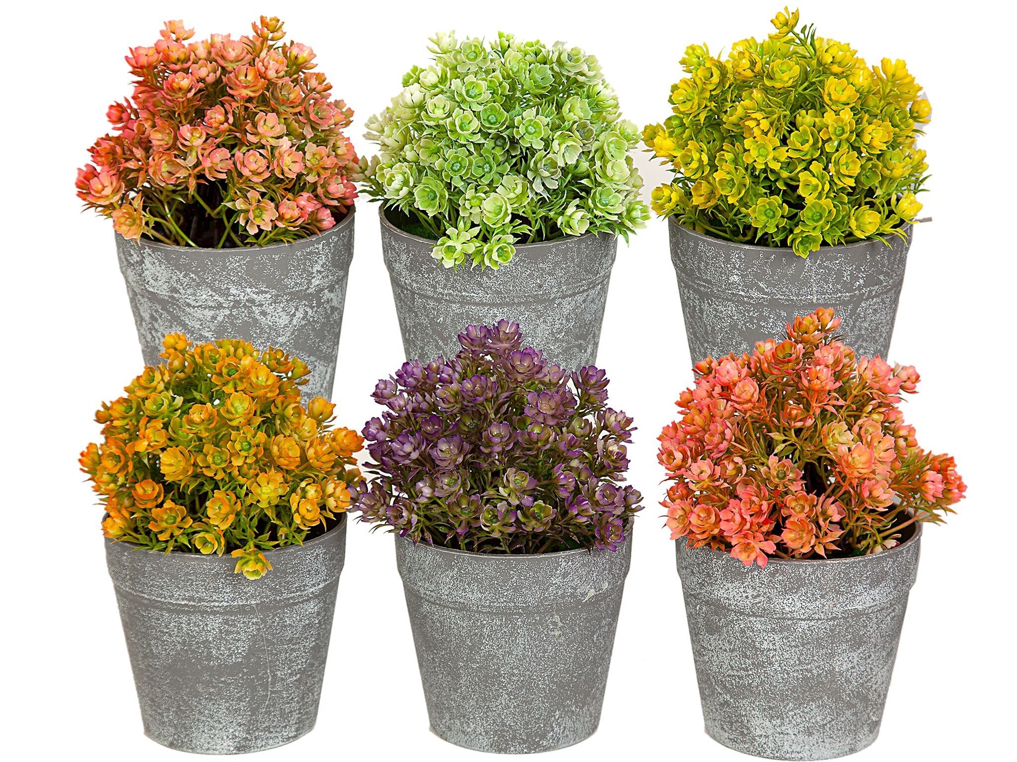 MACETA  C/FLORES COLORES SURTIDOS (6 COLORES) HM842348